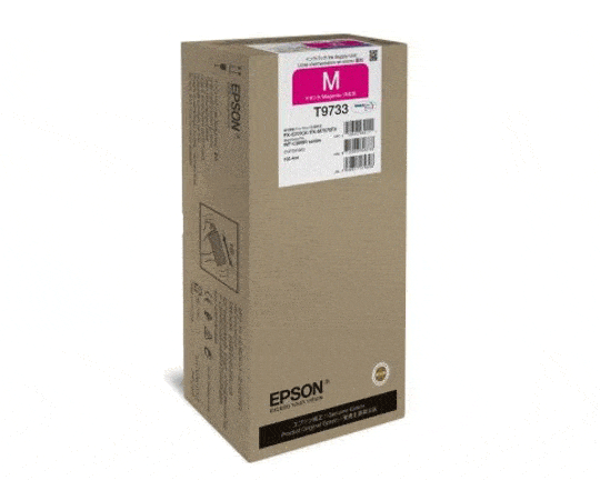 Epson C13T973300 Ink Bag/Cartridges in UAE